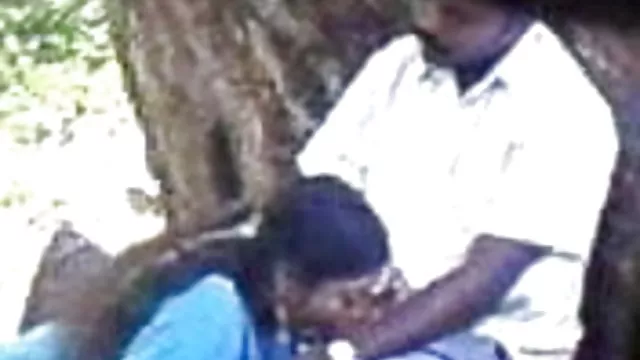 ஆபாச ஆன்லைன் பதிவு இல்லை இந்திய பதிவிறக்கம், கவர்ச்சி வீடியோ பூங்கா