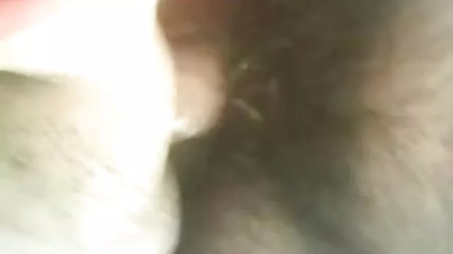 ஆபாச ஆன்லைன் பதிவு இல்லை புகைப்படம் சூடான பெண் செக்ஸ் கொண்ட