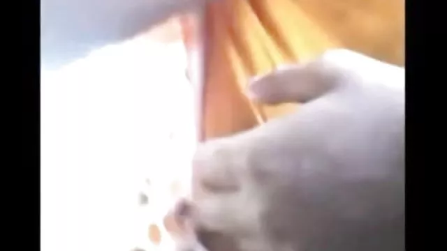 ஆபாச ஆன்லைன் பதிவு இல்லை இந்திய செக்ஸ் சிறுவன் தொட்டு என் பஸ்