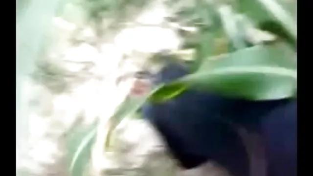 ஆபாச ஆன்லைன் பதிவு இல்லை கிராமத்தில், பெண், செக்ஸ் அத்தை வன