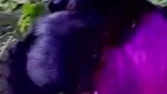 ஆபாச ஆன்லைன் பதிவு இல்லை தனியா பெண் மாதவிடாய் இந்திய,