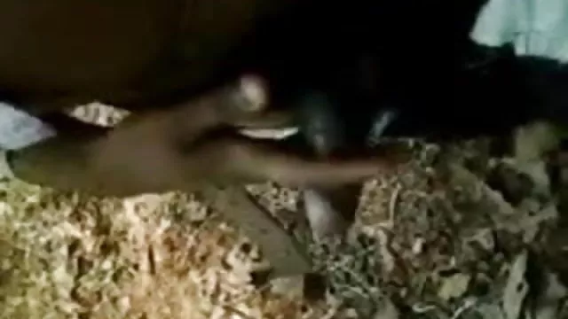ஆபாச ஆன்லைன் பதிவு இல்லை , நீல படம், அனுப்ப இந்திய பெண் செக்ஸ்