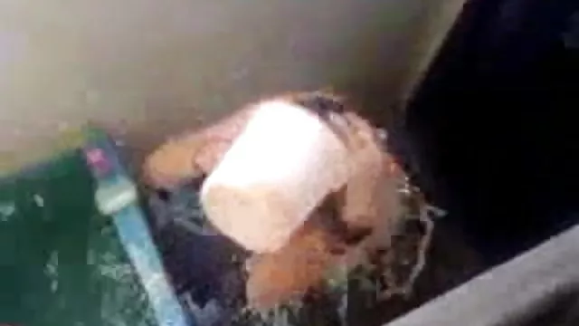 ஆபாச ஆன்லைன் பதிவு இல்லை இந்திய கவர்ச்சி வீடியோக்கள் ஆங்கில படம், உடலில் வெளிப்பூச்சுக்கு உதவும் மருந்தெண்ணெய் முதிர்ந்த மழை