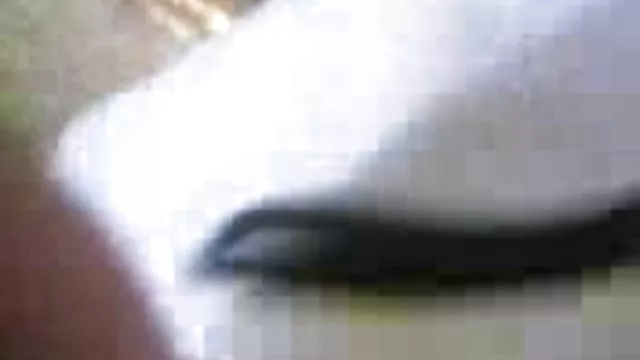 ஆபாச ஆன்லைன் பதிவு இல்லை புகைப்படங்கள் செக்ஸ் சாலையில்